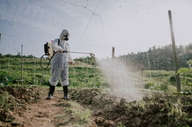 Best Mosquito Control Services  in Kearny, NJ