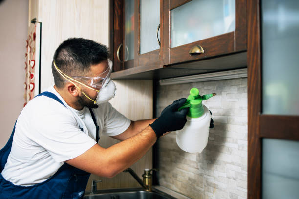 Best Pest Removal Services  in Kearny, NJ