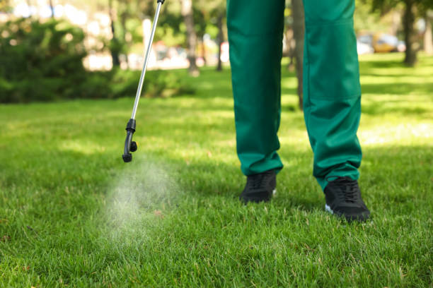Best Termite Control Services  in Kearny, NJ