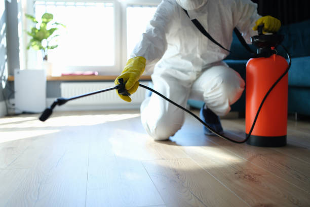 Wildlife Control Services in Kearny, NJ