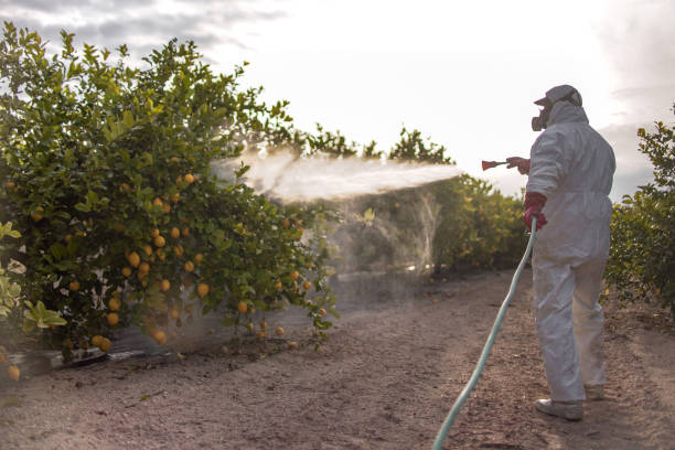 Best Commercial Pest Control Services  in Kearny, NJ