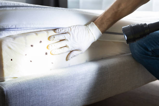Best Pest Control Cost  in Kearny, NJ