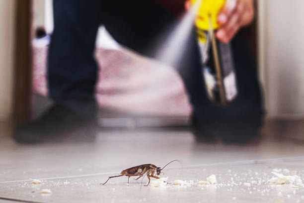 Best Best Pest Control Companies  in Kearny, NJ